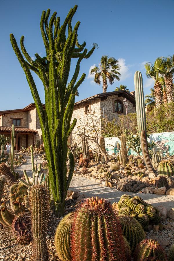 Garden Cactus Guest House Villaggio Mose  Ngoại thất bức ảnh